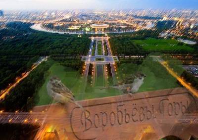 Прощайте Воробьёвы горы? Власти Москвы хотят изменить планировку ООПТ - mskgazeta.ru - Москва
