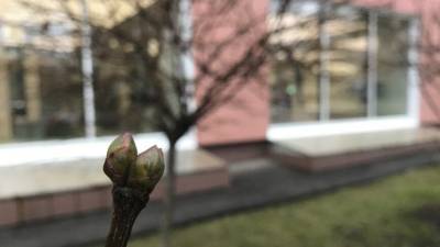 Роман Вильфанд - Владислава Грин - Потепление придет в европейскую часть России в ближайшие пять дней - nation-news.ru - Краснодарский край - окр.Приволжский
