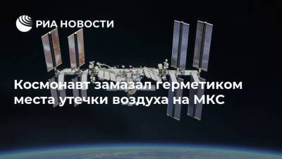 Сергей Рыжиков - Кэтлин Рубинс - Космонавт замазал герметиком места утечки воздуха на МКС - ria.ru - Москва - Московская обл.