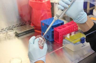 Израильские ученые придумали спрей для носа, спасающий от коронавируса и мира - cursorinfo.co.il - Англия - Лондон - Юта - Великобритания