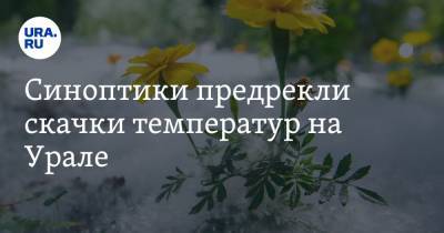 Роман Вильфанд - Синоптики предрекли скачки температур на Урале - ura.news - Салехард - окр.Сзфо