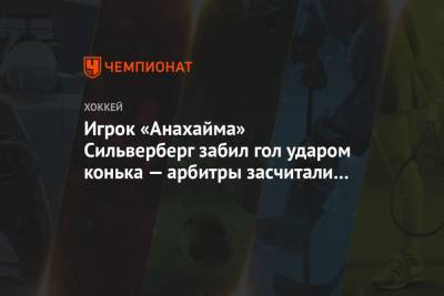 Александр Волков - Филипп Кессел - Игрок «Анахайма» Сильверберг забил гол ударом конька — арбитры засчитали взятие ворот - championat.com - Лос-Анджелес - шт. Аризона