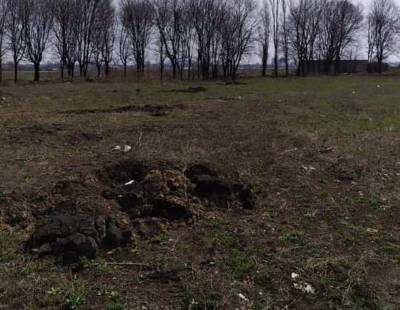 Александр Бабич - Ничего святого: в Одессе «поработали» экскаватором на месте массовых расстрелов (фото) - odessa-life.od.ua - Одесса