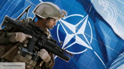 На сайте НАТО появилось предупреждение для украинцев о начале операции Svinosotnya - politros.com - Россия - Украина - Киев