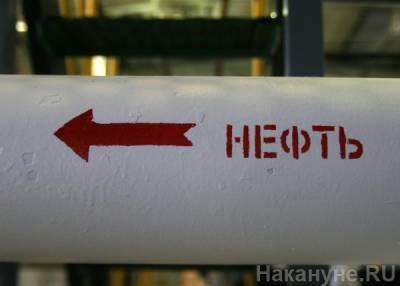Владимир Путин - Рентабельных запасов нефти в России хватит на 19 лет - Минэнерго - nakanune.ru