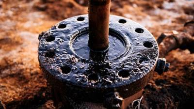 Евгений Киселев - Объем запасов нефти в России оценил глава Роснедр Киселев - riafan.ru - Москва