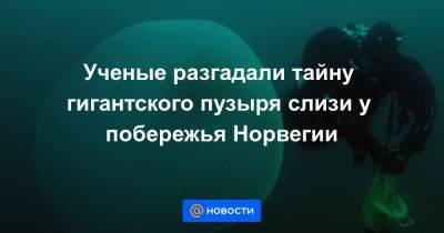 Ученые разгадали тайну гигантского пузыря слизи у побережья Норвегии - news.mail.ru - Норвегия