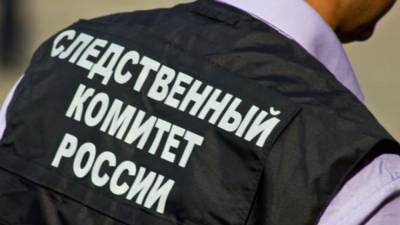 Подросток с матерью полгода скрывал тело убитого отчима под Новосибирском - polit.info - Новосибирск