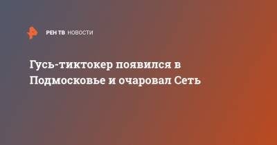 Гусь-тиктокер появился в Подмосковье и очаровал Сеть - ren.tv - Московская обл. - Московская область