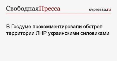 Руслан Бальбек - В Госдуме прокомментировали обстрел территории ЛНР украинскими силовиками - svpressa.ru - ЛНР