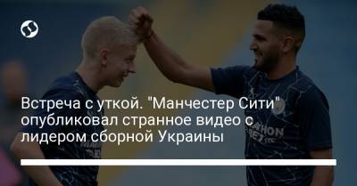 Встреча с уткой. "Манчестер Сити" опубликовал странное видео с лидером сборной Украины - liga.net - Дания