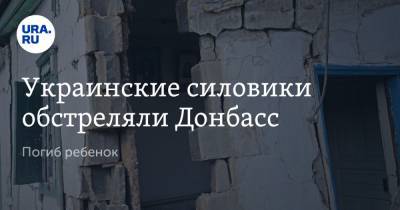 Украинские силовики обстреляли Донбасс. Погиб ребенок - ura.news - ДНР - ЛНР