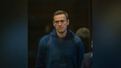 Марья Бутина - Навальный - Навальный может предстать перед судом за оскорбления в адрес Марии Бутиной - politros.com