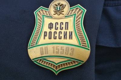 В Туле судебные приставы проведут «День открытых дверей» - tula.mk.ru - Тула - Тульская обл.