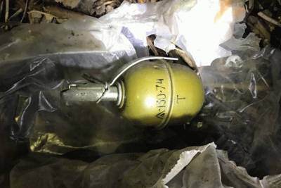В тылу «ДНР» от взрыва погиб ребенок и ранена бабушка - real-vin.com - ДНР - Углегорск - Александровск