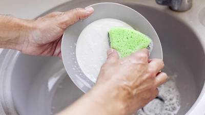 Ученые рассказали, как часто необходимо менять губку для мытья посуды и почему - grodnonews.by - Минск