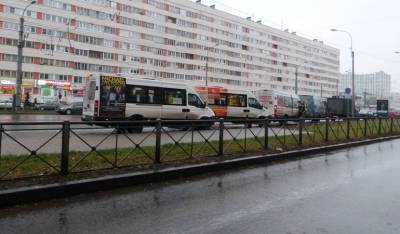 Эксперты оценили замену маршруток на автобусы в Петербурге - neva.today - Санкт-Петербург