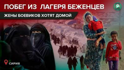 Почему страны Евросоюза не хотят возвращать на родину бывших жен террористов ИГ - riafan.ru - Сирия - Англия
