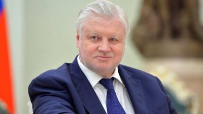 Сергей Миронов - Сергей Миронов предложил вдвое увеличить пособие на детей из неполных семей - newizv.ru