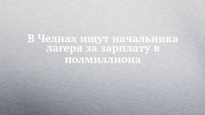 В Челнах ищут начальника лагеря за зарплату в полмиллиона - chelny-izvest.ru