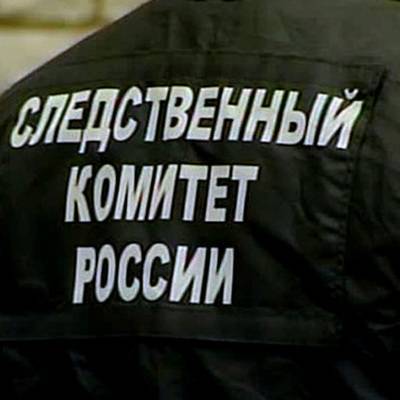Александр Бастрыкин - Ситуацией с истязанием девочки в Ростовской области займется СК - radiomayak.ru - Ростовская обл. - Новошахтинск