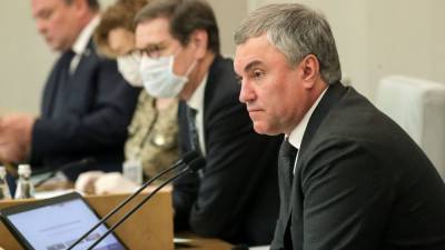 Владимир Зеленский - Вячеслав Володин - Володин требует исключить Украину из Совета Европы после смерти ребенка в Донбассе - riafan.ru - Москва - Донецк