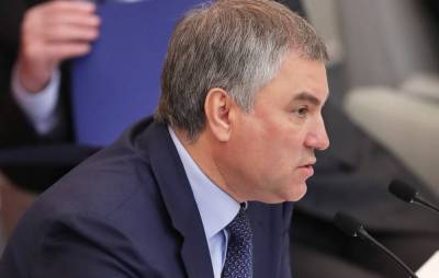 Вячеслав Володин - В Госдуме отреагировали на убийство ребенка украинскими карателями - news-front.info - Россия - Украина - Киев - ДНР