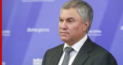 Вячеслав Володин - Володин призвал исключить Украину из Совета Европы после гибели ребенка на Донбассе - profile.ru - Украина - ДНР - Донецк - Донбасс