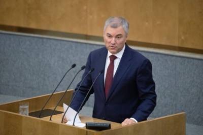 Вячеслав Володин - Володин призвал ПАСЕ и ОБСЕ отреагировать на гибель ребёнка в Донбассе - aif.ru - ДНР