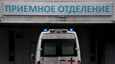 Стая бродячих собак искусала ребенка в Татарстане - iz.ru - респ. Татарстан - район Зеленодольский