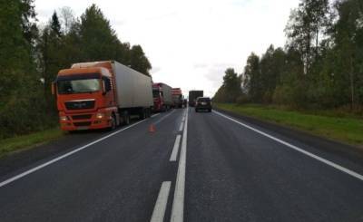Новые правила движения грузовиков в Москве привели к проблемам у поставщиков продуктов - polit.info - Москва