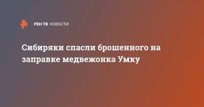 Карен Даллакян - Сибиряки спасли брошенного на заправке медвежонка Умку - ren.tv - Челябинск - Хабаровск