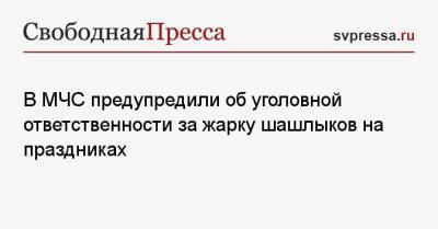 В МЧС предупредили об уголовной ответственности за жарку шашлыков на праздниках - svpressa.ru - Московская обл.