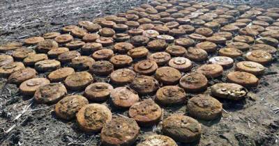 На Днепропетровщине в поле нашли почти 400 старых мин (ФОТО, ВИДЕО) - dsnews.ua - Днепропетровская обл. - Хмельницкая обл. - Гсчс