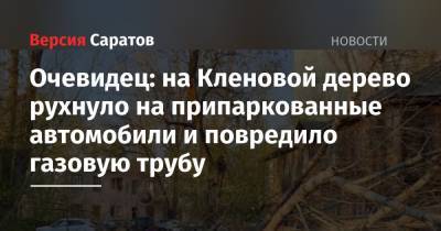 Очевидец: на Кленовой дерево рухнуло на припаркованные автомобили и повредило газовую трубу - nversia.ru - Саратов