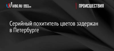 Серийный похититель цветов задержан в Петербурге - ivbg.ru - Санкт-Петербург - р-н Кировский