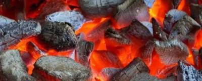 Андрей Потапов - В Кургане ввели запрет на продажу угля для шашлыков и алкоголя во время майских праздников - runews24.ru