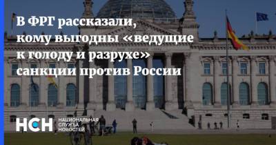 Вальдемар Гердт - В ФРГ рассказали, кому выгодны «ведущие к голоду и разрухе» санкции против России - nsn.fm - Германия
