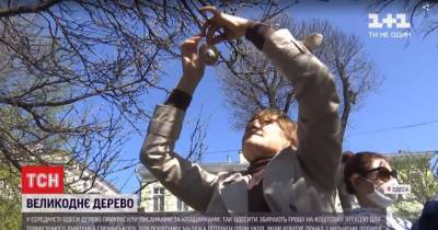 Писанки для спасения жизни: в Одессе создали благотворительное Пасхальное дерево - tsn.ua - Одесса - Новости Одессы