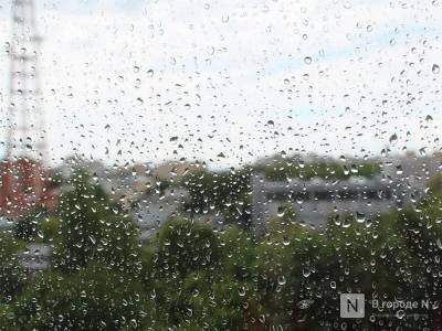 Дожди и потепление до +14°С придут в Нижний Новгород в майские праздники - vgoroden.ru - Нижний Новгород - Нижний Новгород