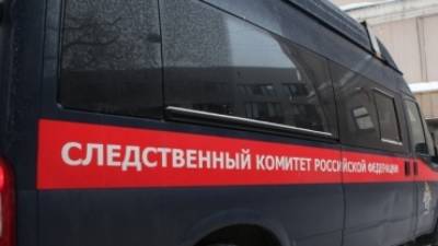 Жительница Владивостока убила мужа и детей из-за развода - inforeactor.ru - Владивосток