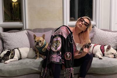 Леди Гага - Полиция Лос-Анджелеса арестовала похитителей собак Леди Гаги - vm.ru - Лос-Анджелес