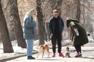 Столичные врачи вылечили еще 2008 пациентов с COVID-19 за сутки - vm.ru - Москва - Санкт-Петербург - Московская обл.