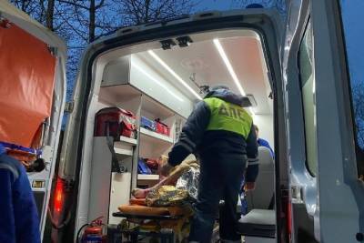 Псковские полицейские спасли на пожаре в многоквартирном доме людей и кота - mk-pskov.ru - Псковская обл. - Псков