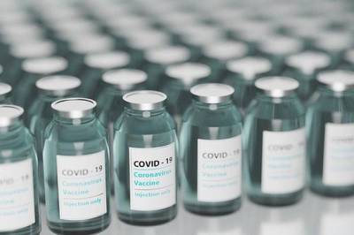 Юлия Мелано - РФ планирует зарегистрировать за рубежом вакцину от COVID-19 для животных - aif.ru - Австрия - Южная Корея - Таиланд - Аргентина