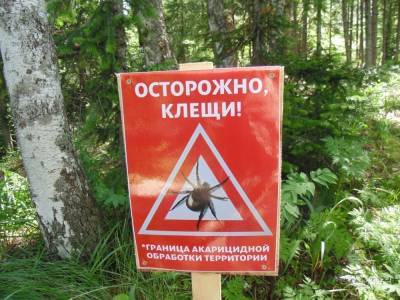 Липчан просят сдавать присосавшихся клещей для анализов - lipetskmedia.ru - Липецкая обл.