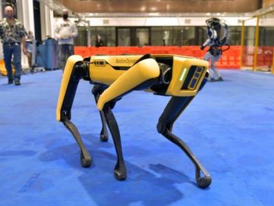 Как в "Черном зеркале": полиция Нью-Йорка "уволила" робота-пса Boston Dynamics из-за антиутопических опасений - unn.com.ua - США - Киев - New York - Нью-Йорк - Нью-Йорк - Boston