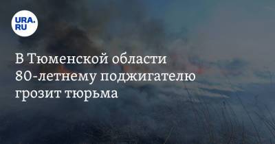 В Тюменской области 80-летнему поджигателю грозит тюрьма. Из-за него сгорели пять зданий - ura.news - Тюменская обл.