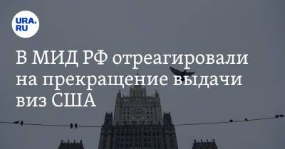 Сергей Лавров - В МИД РФ отреагировали на прекращение выдачи виз США - ura.news