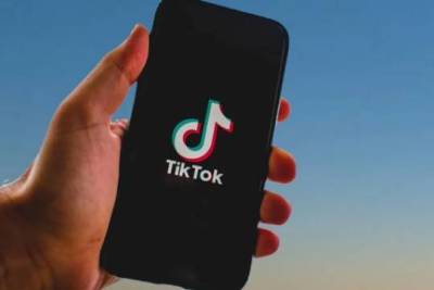 Мужчина познакомился с ученицей начальной школы в TikTok и похитил её - versia.ru - Япония